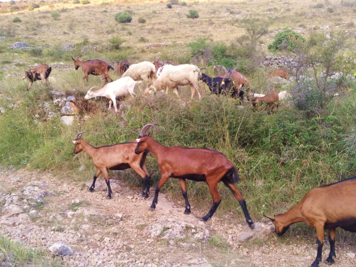 مبيت وإفطار فونس La Bastide Des Pins المظهر الخارجي الصورة